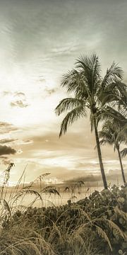 BONITA BEACH Bright Sunset | Vintage Panorama by Melanie Viola