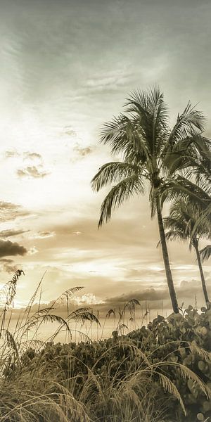 BONITA BEACH Bright Sunset | Vintage Panorama by Melanie Viola