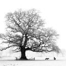 His Favourite by Lars van de Goor thumbnail