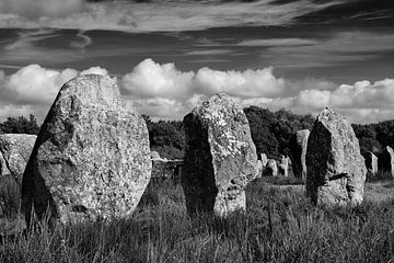 Megalieten van Carnac in rijen menhirs van Alwin Koops fotografie