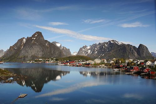 Reine