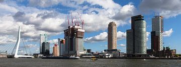 Manhattan aan de Maas