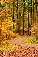 Herfst