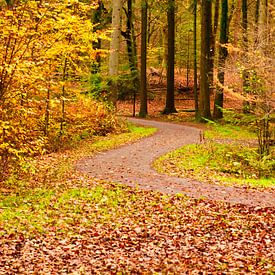 Herfst van Irene Doorten