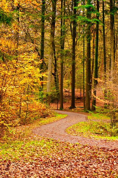 Herfst van Irene Doorten