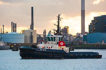 De sleepboot onderweg in de Europoort de grote haven. van scheepskijkerhavenfotografie