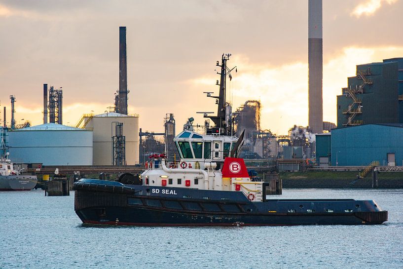 Der Schlepper auf dem Weg in den großen Hafen von Europoort. von scheepskijkerhavenfotografie