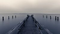 Misty morning