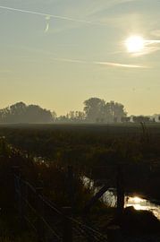 Nachmittag ohne Ende von Nicole Moreaux