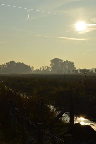 Après-midi sans fin