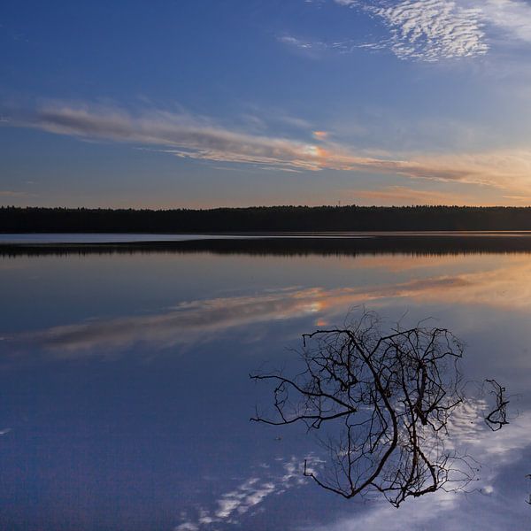Aube sur la surface calme du lac. Ciel bleu matinal, dans l'eau se trouve une branche de forme bizar par Michael Semenov