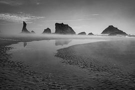 Emerging fog on Brandon Beach Oregon by Charlotte Bakker