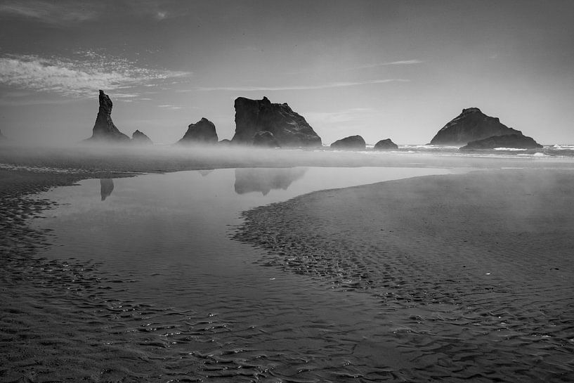 Opkomende mist op Brandon Beach Oregon van Charlotte Bakker