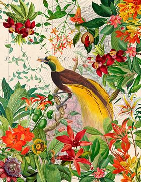 Paradijsvogel in de exotische jungle van Floral Abstractions