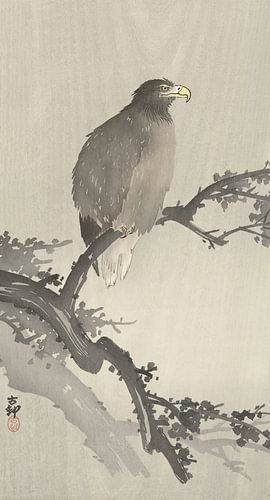 Ohara Koson - Seeadler auf Ast (bearbeitet)