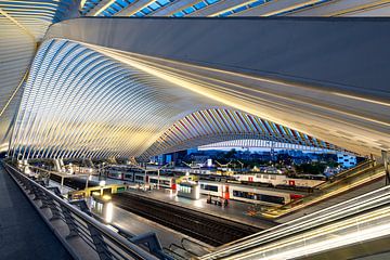 Station Luik-Guillemins van Mark Bolijn