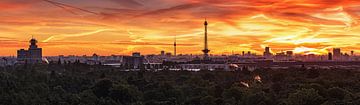 Berlijn skyline van Frank Herrmann