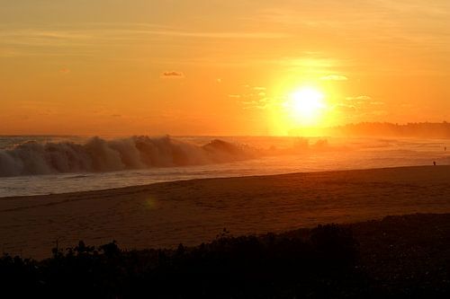 Sonnenuntergang an der Küste Shri Lankas