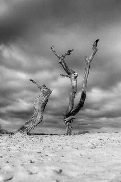 Tote Kunst in den Dünen von Mark Bolijn