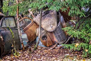 Cimetière de voitures en Suède : des traces de rouille dans la forêt
