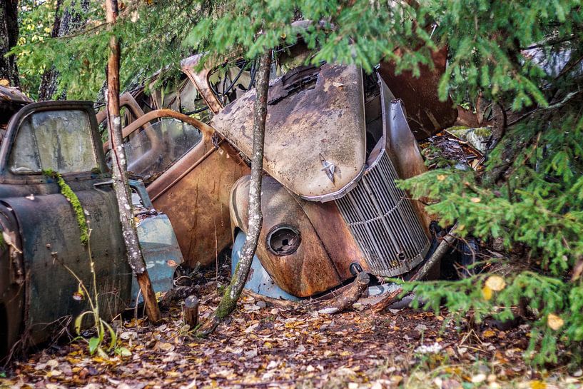 Rostige Hinterlassenschaften im Wald - Autofriedhof in Schweden von Gentleman of Decay