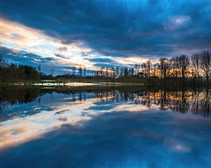 Reflections