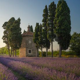 Lavendelveld, cipressen en kerk. Bolgheri van Stefano Orazzini