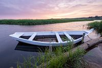 Ruderboot im Schilf