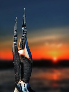 A romantic sunset van Ruud Peters