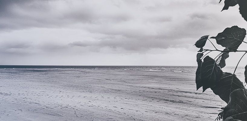 Menschenleerer Strand im Sommer Halbinsel Hel bei Ebbe. schwarzweiss von Jakob Baranowski - Photography - Video - Photoshop