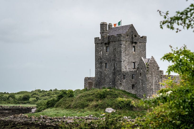 Burg Dunguaire, Irland von Durk-jan Veenstra