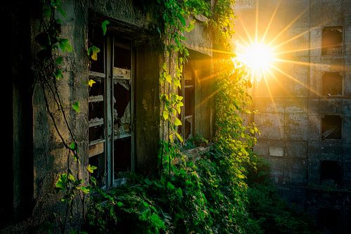 Verträumter Sonnenaufgang im Verfall