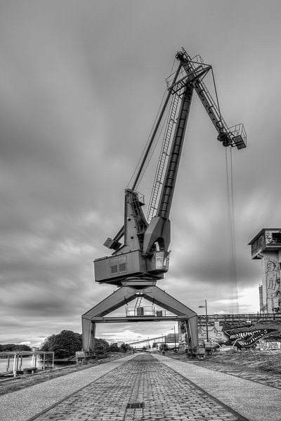 Kranichdock Nord von Peter Deschepper