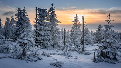 Wintery resin at dusk by Steffen Henze