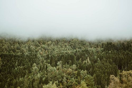 Wolken over de bossen van Noorwegen, Scandinavië
