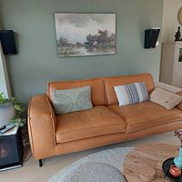 Klantfoto: Drie koeien bij een vijver, Willem Roelofs, als ArtFrame