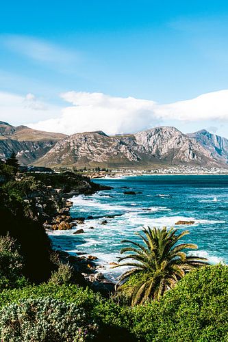 View of the bay of Hermanus, South Africa
