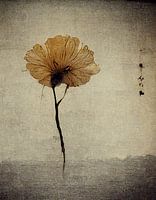 fleur unique