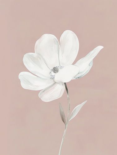 Delicate White Flower on Soft Blush