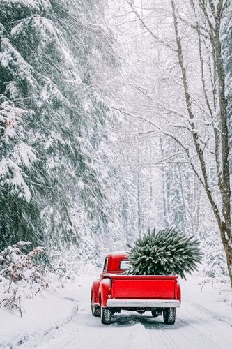 Schnee und Baum