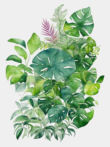 Monstera