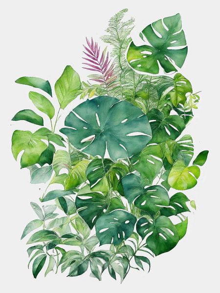 Monstera von Andrea Meyer