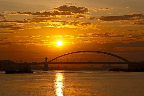 Zonsopkomst Van Brienenoordbrug te Rotterdam