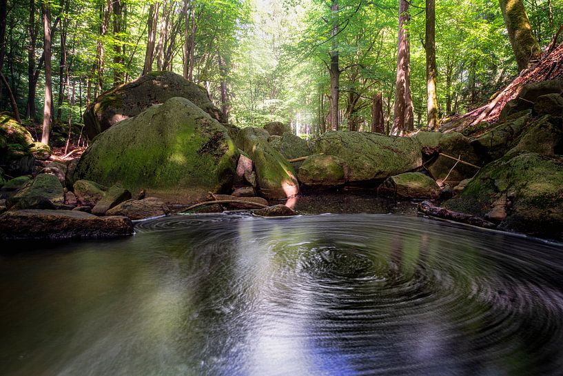 HarzwasserStrudel van Tim Lee Williams