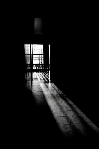 licht en schaduw van eric van der eijk