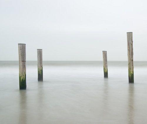 Noordzee kust