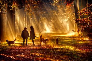 ochtendwandeling bij zonsopkomst van Egon Zitter