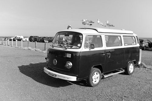 Volkswagen busje met meeuwen in Zuid Engeland