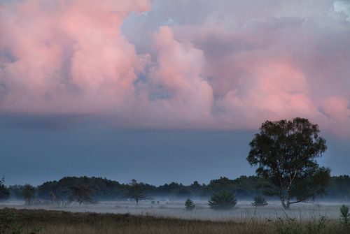 Zonsondergang op Strabrechtse Heide