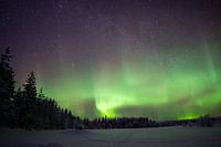 Nordlicht in Lappland